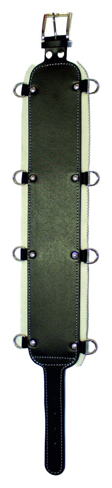 B1–B7 / C7 rehabilitation belts